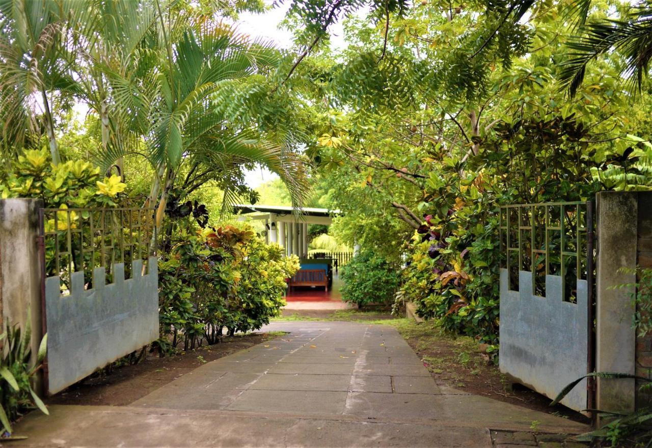 Hospedaje Soma Ometepe Hotel Moyogalpa Exteriör bild